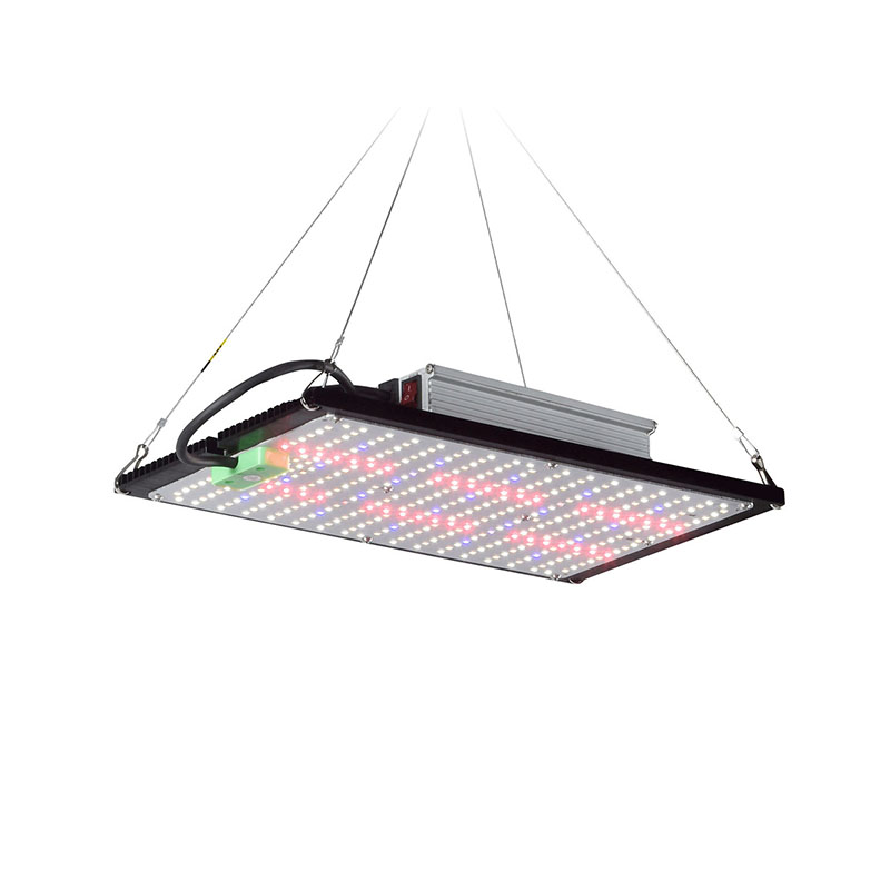 ไฟปลูกต้นไม้ LED แบบควอนตัมบอร - Plant Grow Light Full Spectrum บทวิจารณ์และราคา