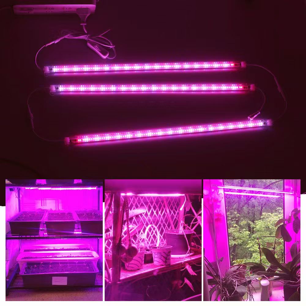 แถบไฟ LED ปลูกพืชขนาด 12 นิ้ว  - Plant Grow Light Full Spectrum บทวิจารณ์และราคา