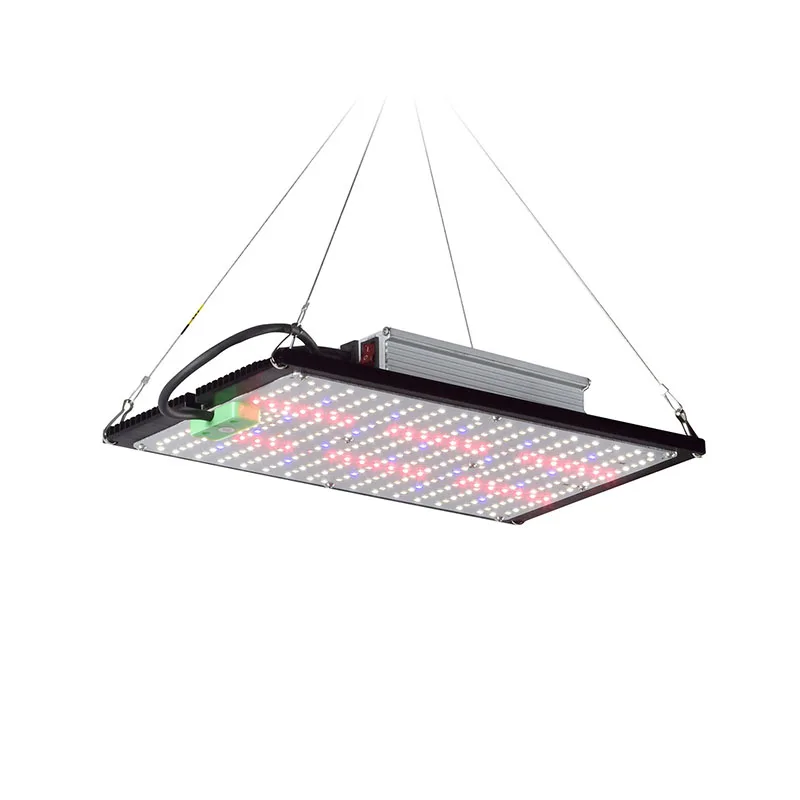 ไฟปลูกต้นไม้ LED แบบควอนตัมบอร - Plant Grow Light Full Spectrum บทวิจารณ์และราคา