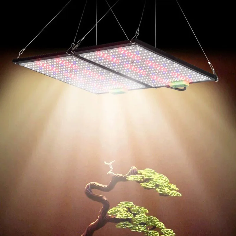 ไฟปลูกต้นไม้ LED แบบควอนตัมบอร - Plant Grow Light Full Spectrum บทวิจารณ์และราคา